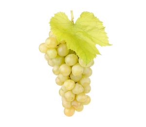 Veg Grapes White Seeded