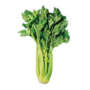 Veg Celery Leaf