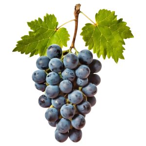 Veg Grape Black