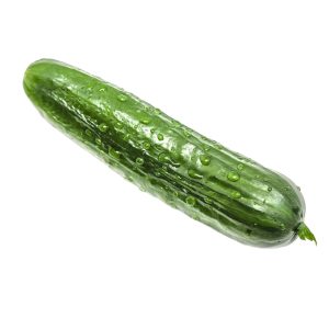 Veg Cucumber Long