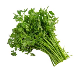 Veg Coriander