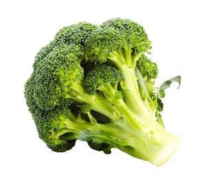 Veg Broccoli
