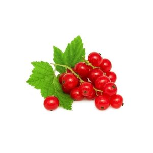 Veg Currant Red