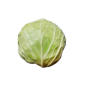 Cabbage T.C Sinerji