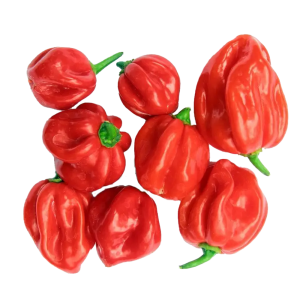 Veg Pepper Chilli Scotch Bonnet