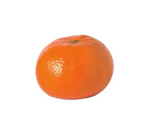 Veg Mandarine Nadorcott