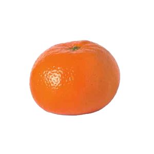 Veg Mandarine Nadorcott