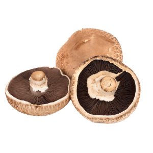 Veg Mushroom Portobella
