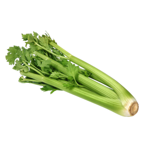 Veg Celery Short