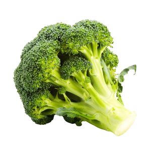 Veg Broccoli