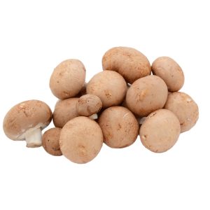 Veg Mushroom Chestnut