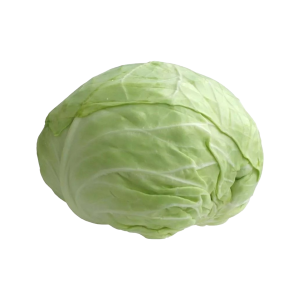 Veg Cabbage Turkish X6