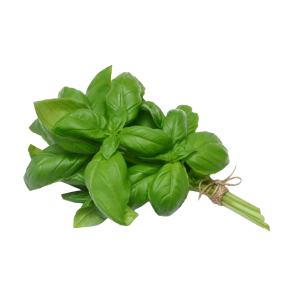 Veg Basil Fresh