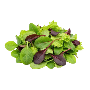 Veg Baby Leaves - Big Box