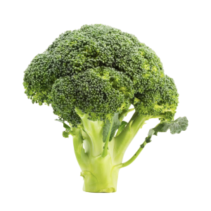 Veg Brocoli Wood Tray