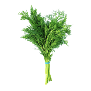 Veg Dill